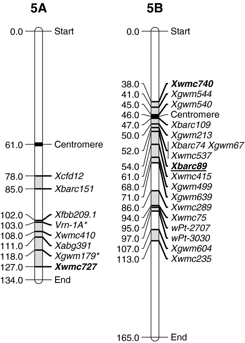 Fig. 5