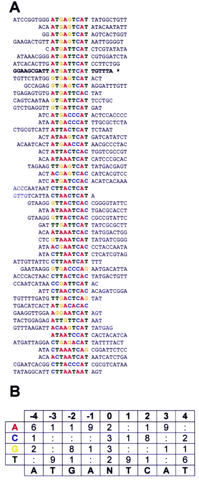 FIG. 3.