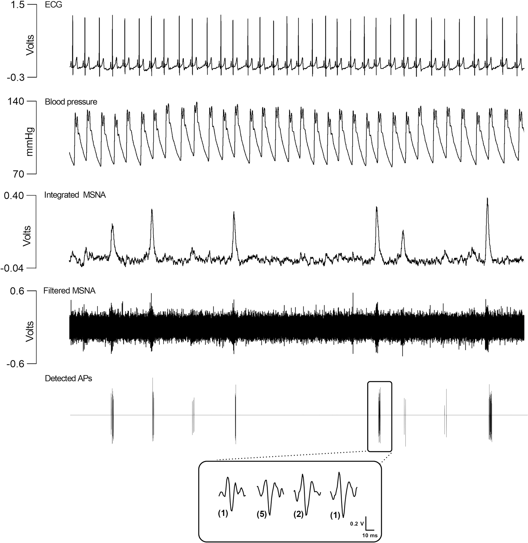 Figure 2.