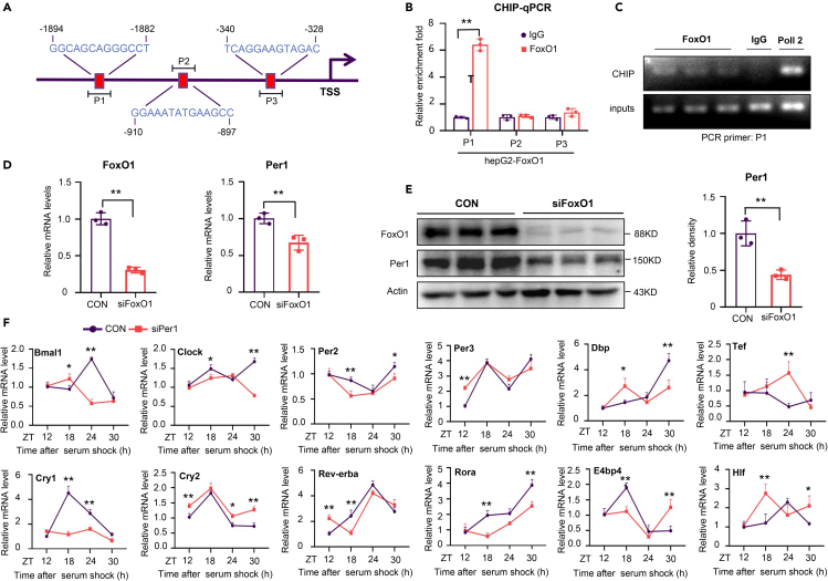 Figure 6