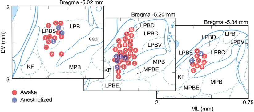 Figure 2.