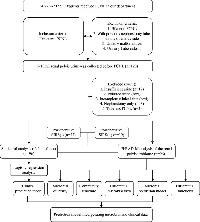 Flowchart depicts PCNL patient selection, urine sample collection, exclusion filtering, grouping by postoperative SIRS status and statistical and 2bRAD-M microbial analysis including diversity, structure, taxa, functions and prediction model development.