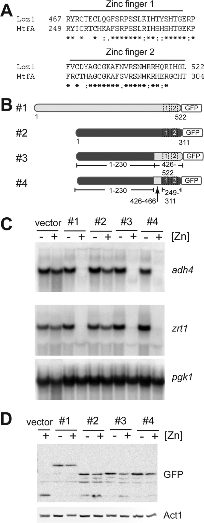 FIGURE 7.