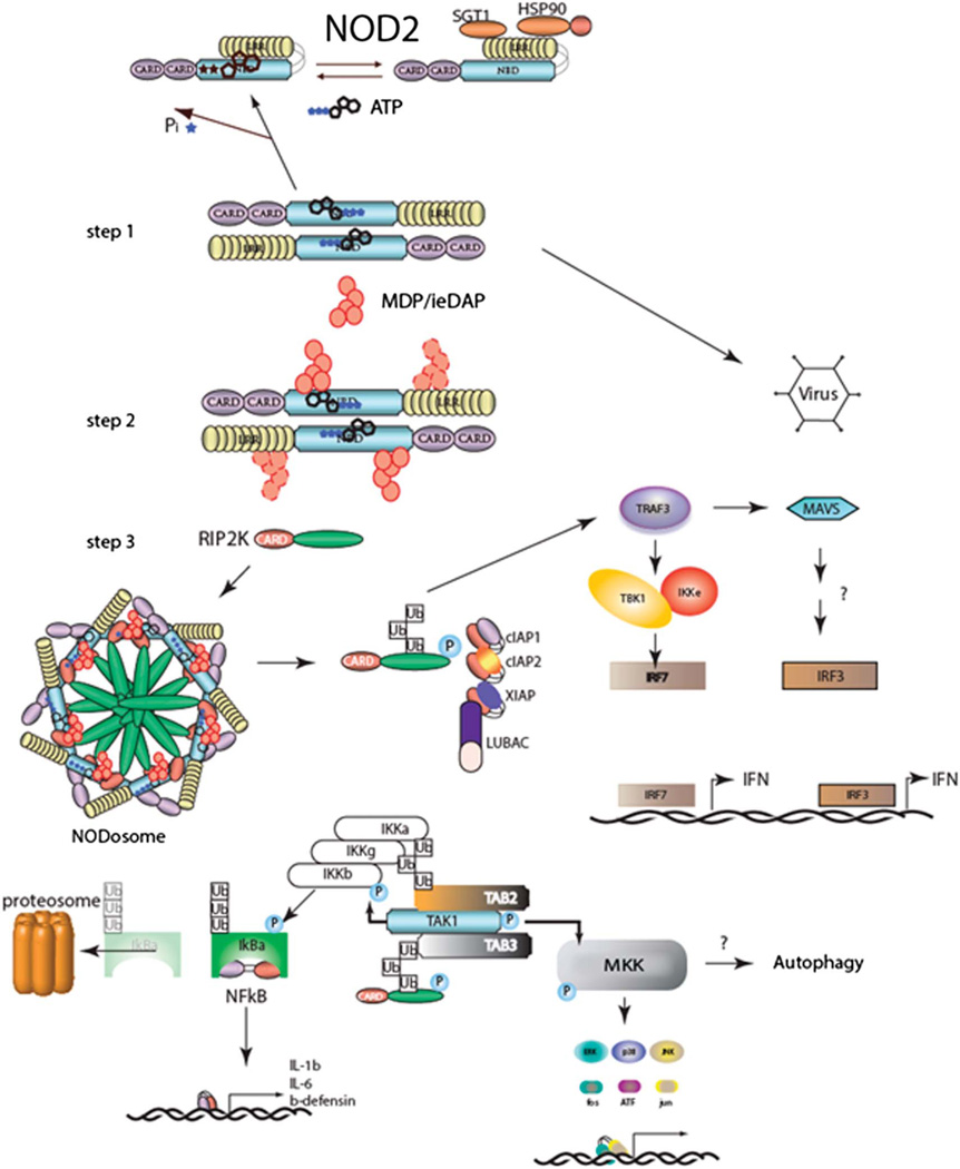 FIGURE 3