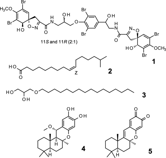 FIG 3