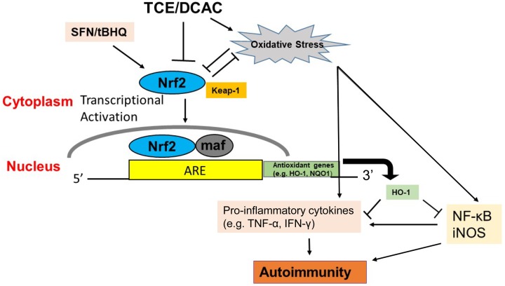 Figure 9.