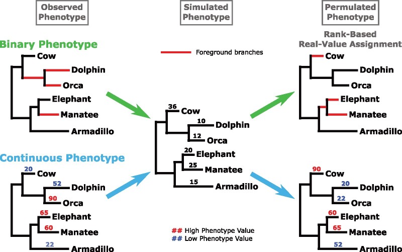 Fig. 2.