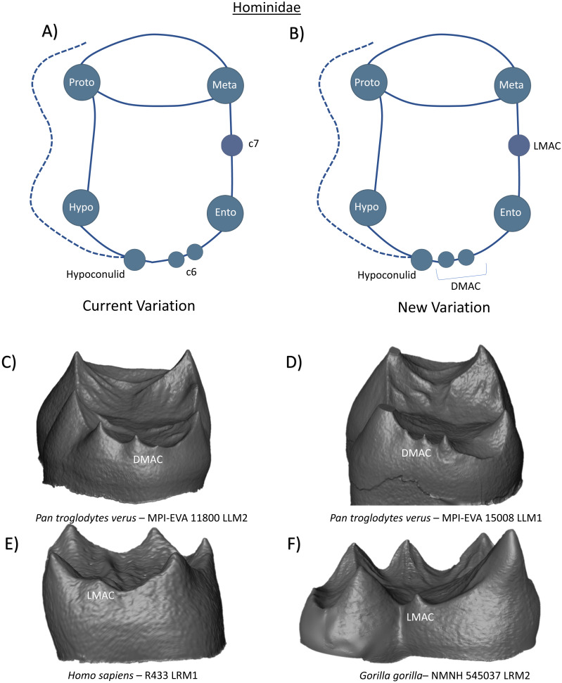 Figure 18