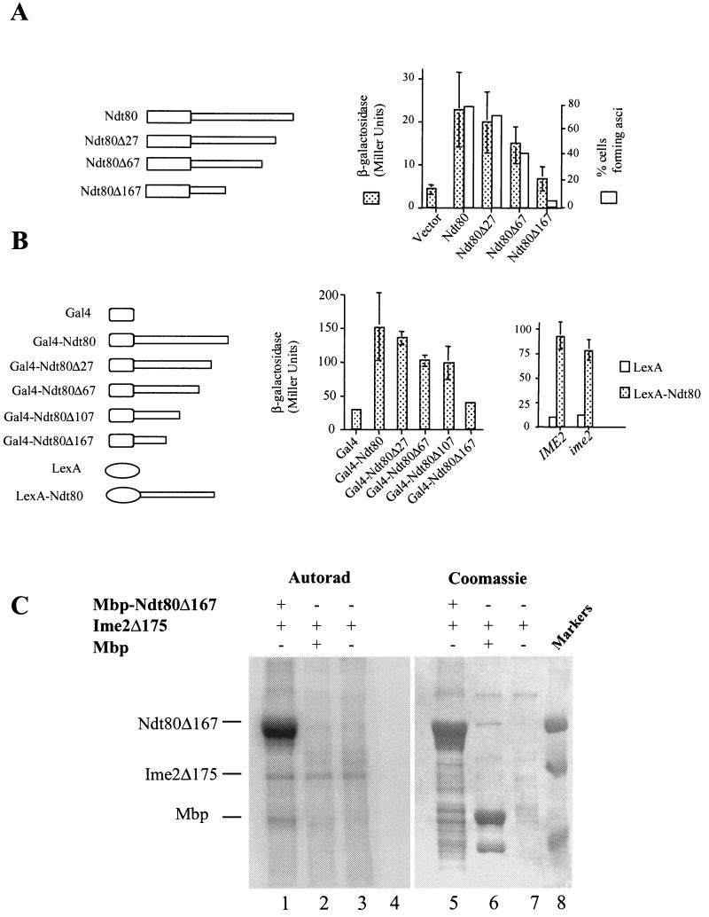 FIG.6.