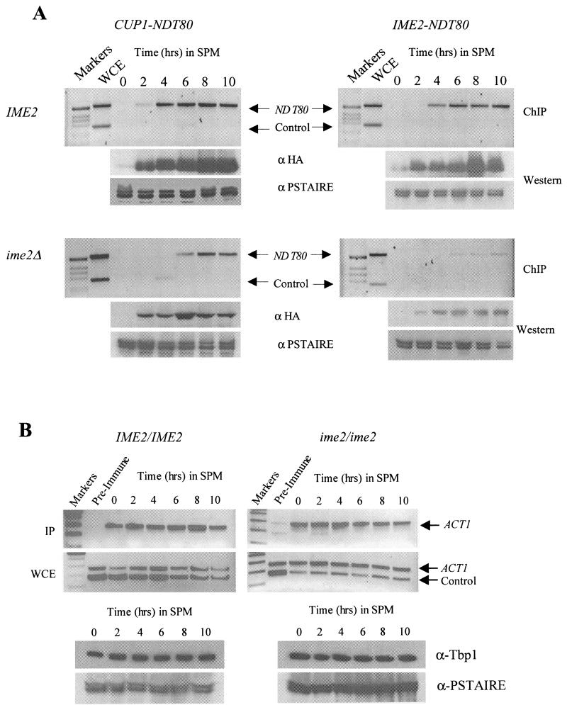 FIG.8.