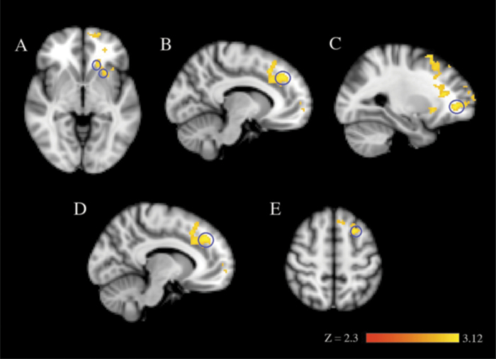 Fig. 5.