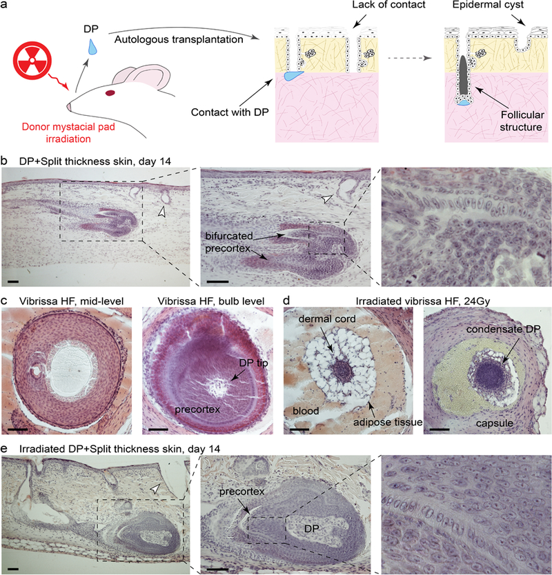 Figure 6: