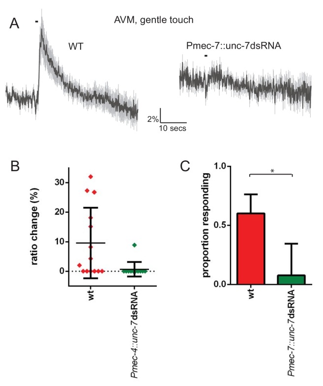 Figure 2—figure supplement 1.