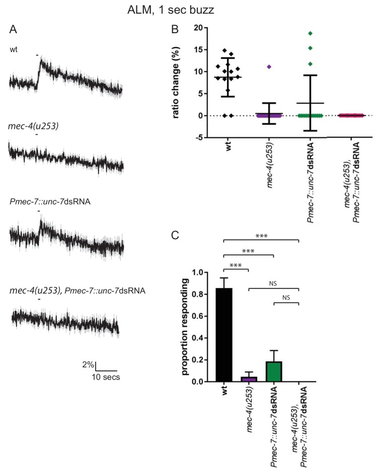 Figure 5—figure supplement 4.