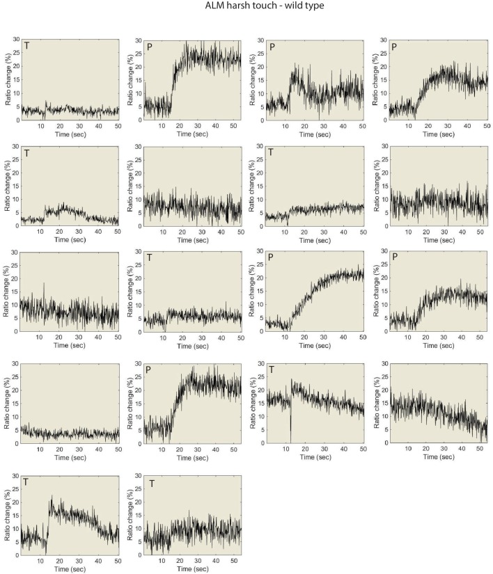 Figure 5—figure supplement 1.