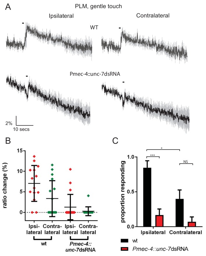 Figure 2—figure supplement 2.