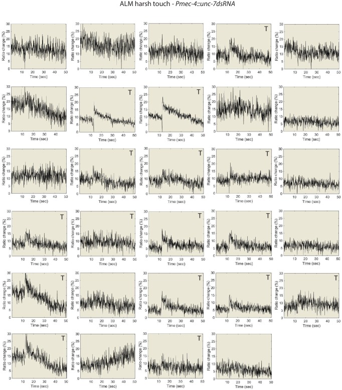 Figure 5—figure supplement 3.