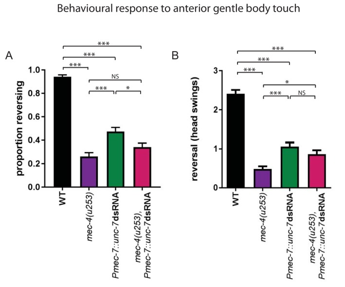 Figure 5—figure supplement 5.