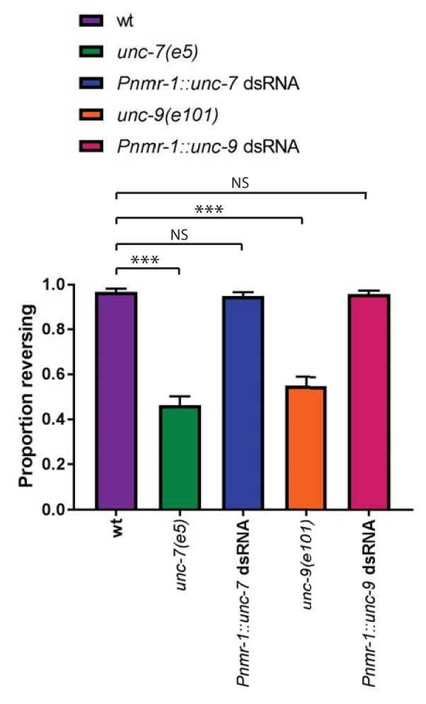 Figure 3—figure supplement 1.