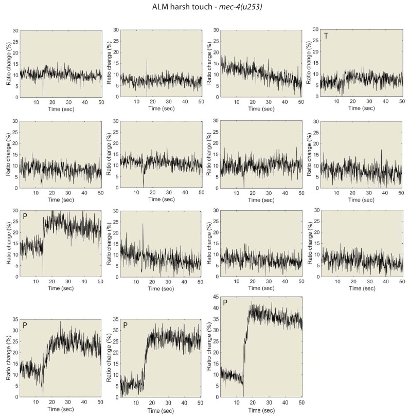 Figure 5—figure supplement 2.