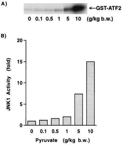 FIG. 7