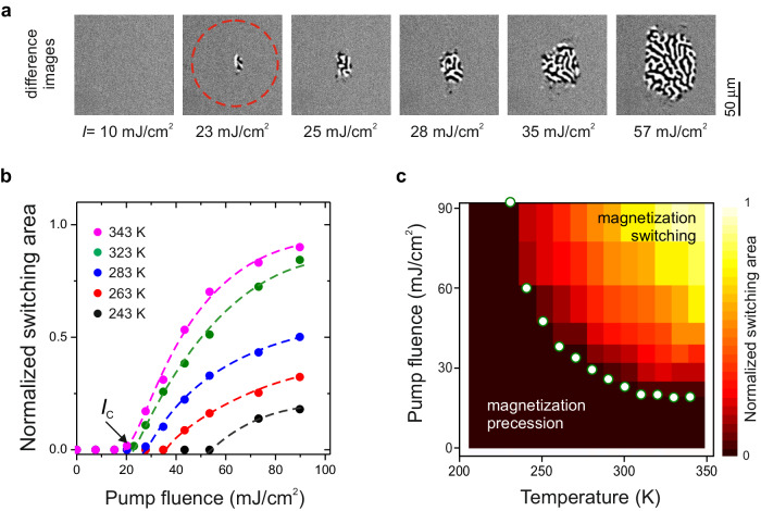 Fig. 3