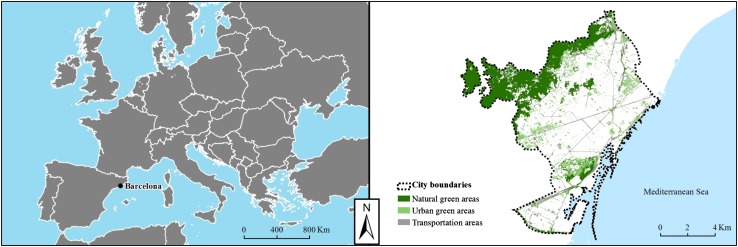 Fig. 1