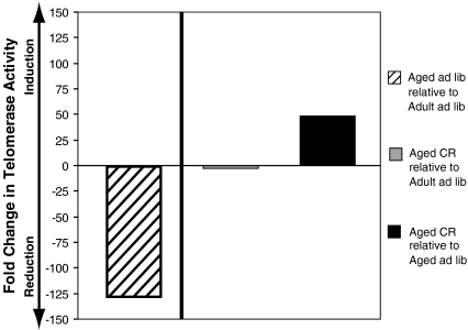 Fig. 7