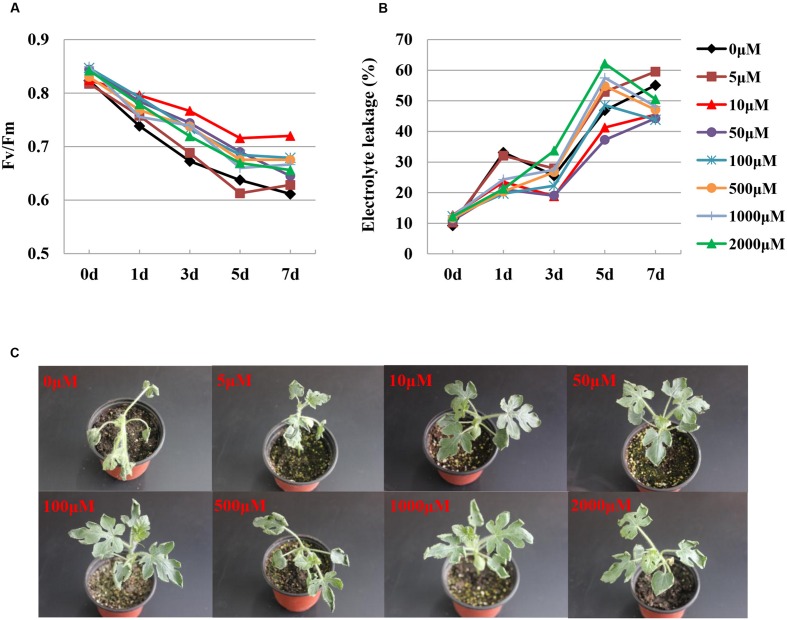 FIGURE 3