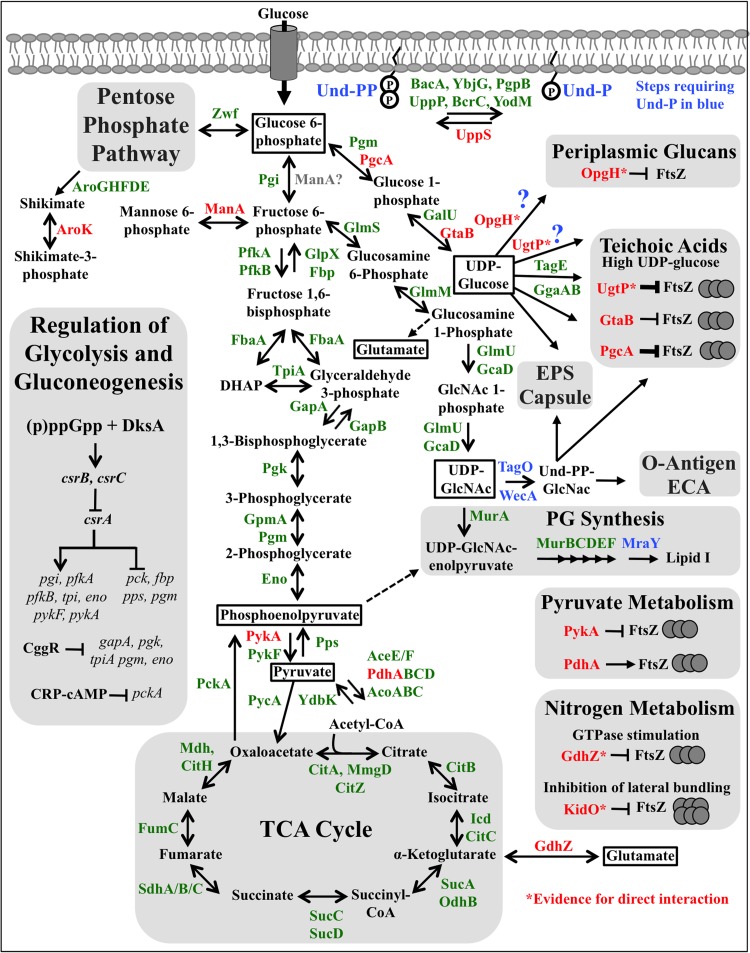 FIG 1