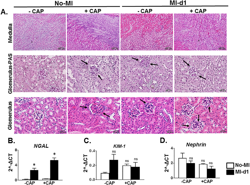 Figure 4: