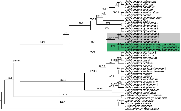 Figure 6.