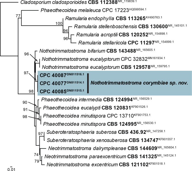 Fig. 44.