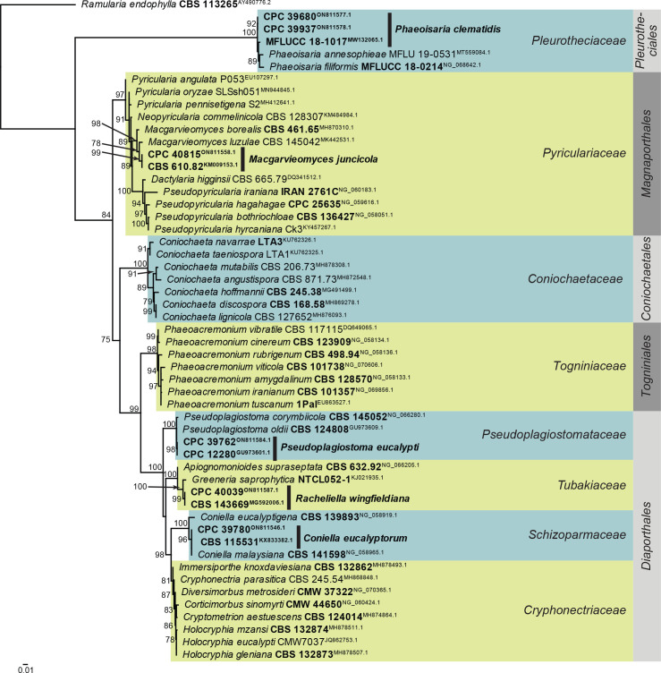 Fig. 6.