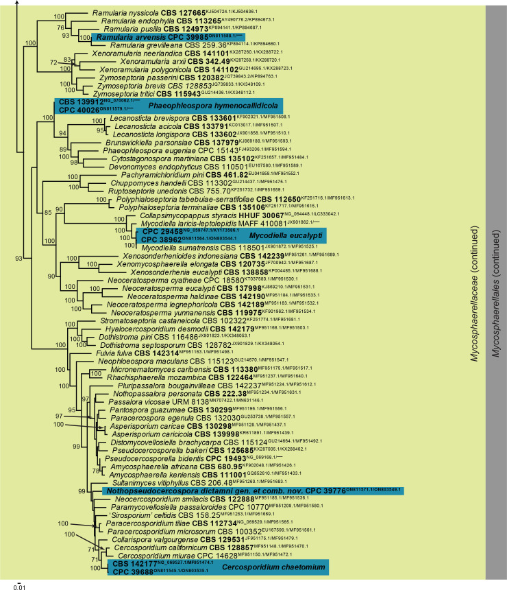 Fig. 13.