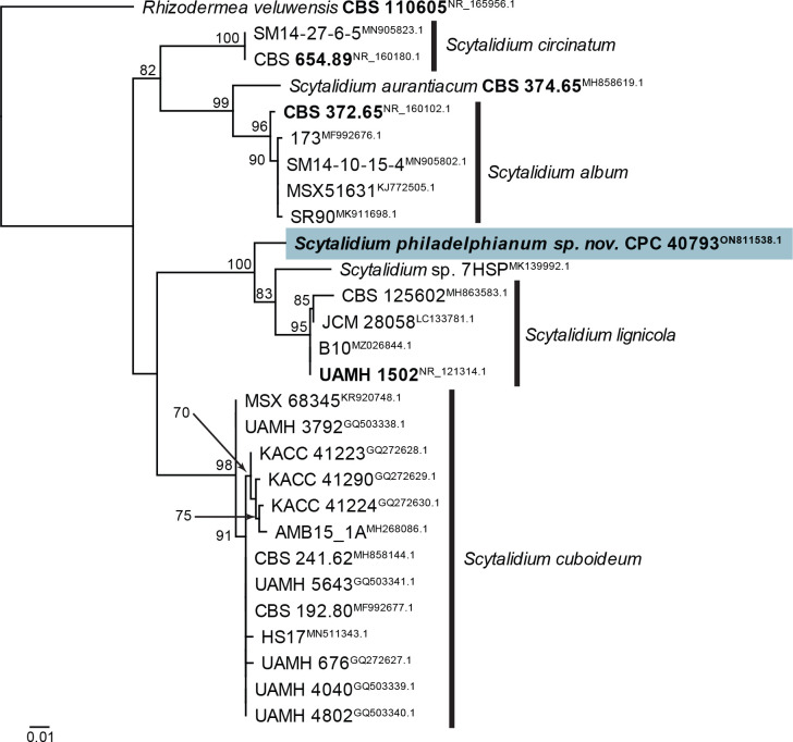 Fig. 65.