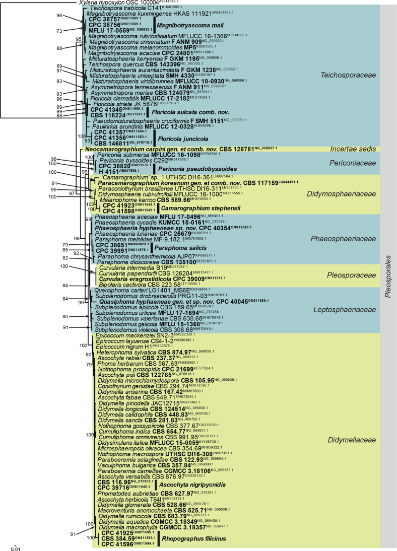 Fig. 2.