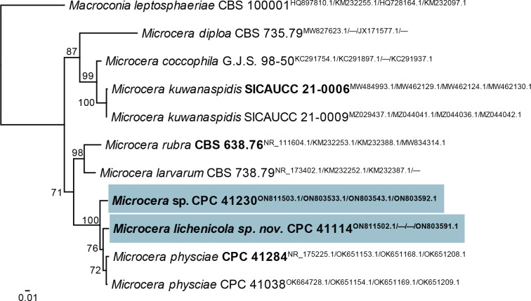 Fig. 32.