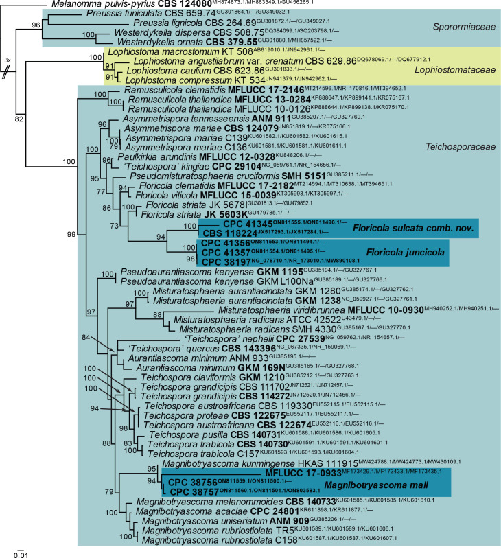 Fig. 24.