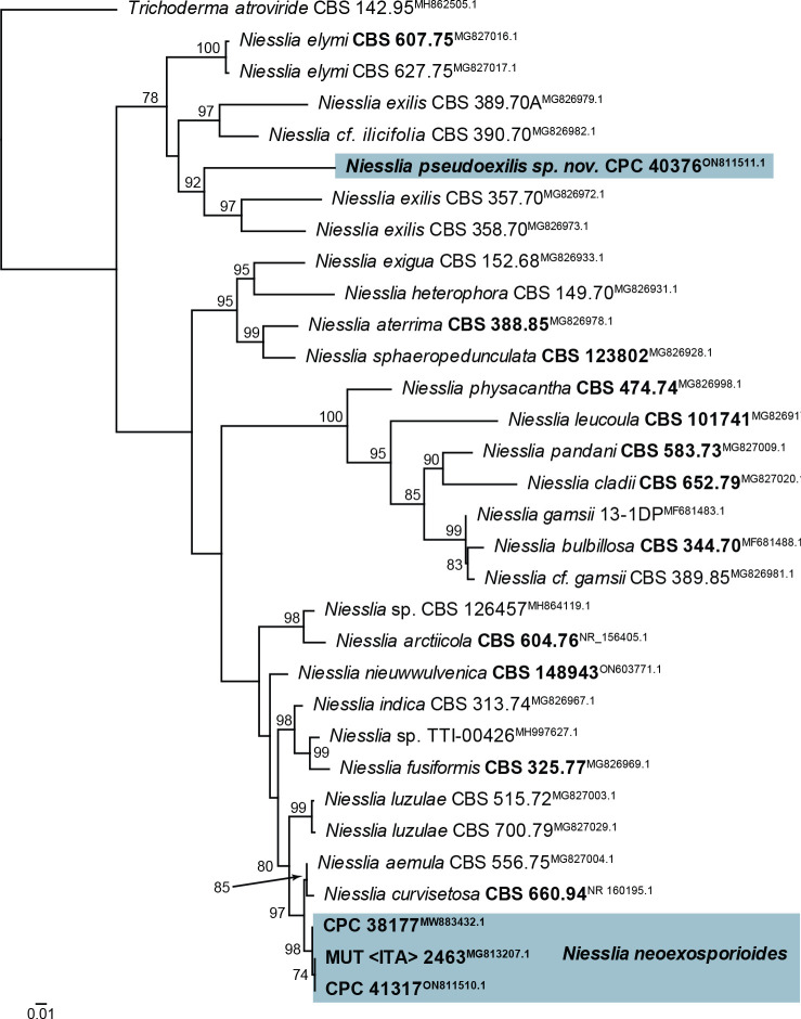 Fig. 39.