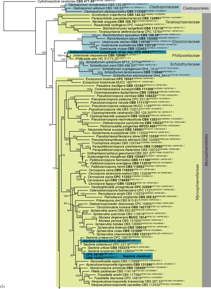 Fig. 13.