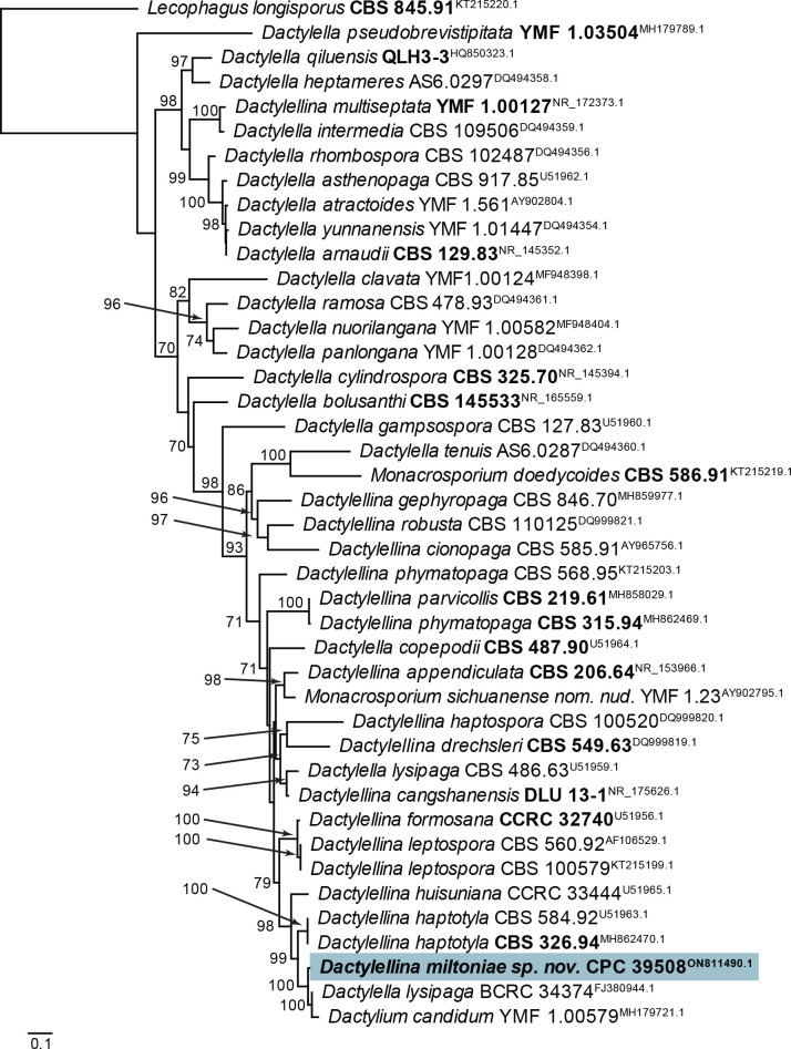 Fig. 18.