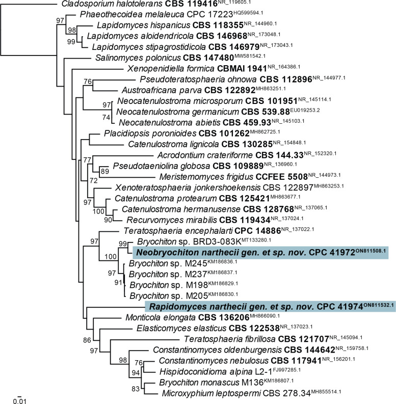 Fig. 36.