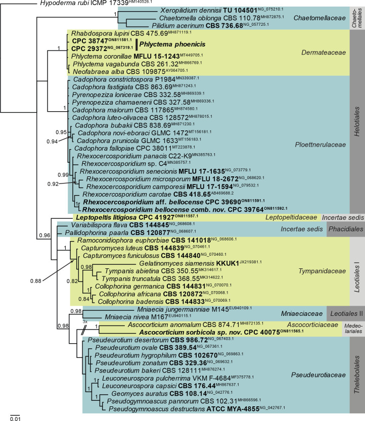 Fig. 4.