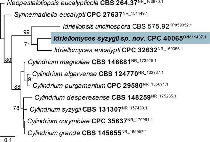 Fig. 27.