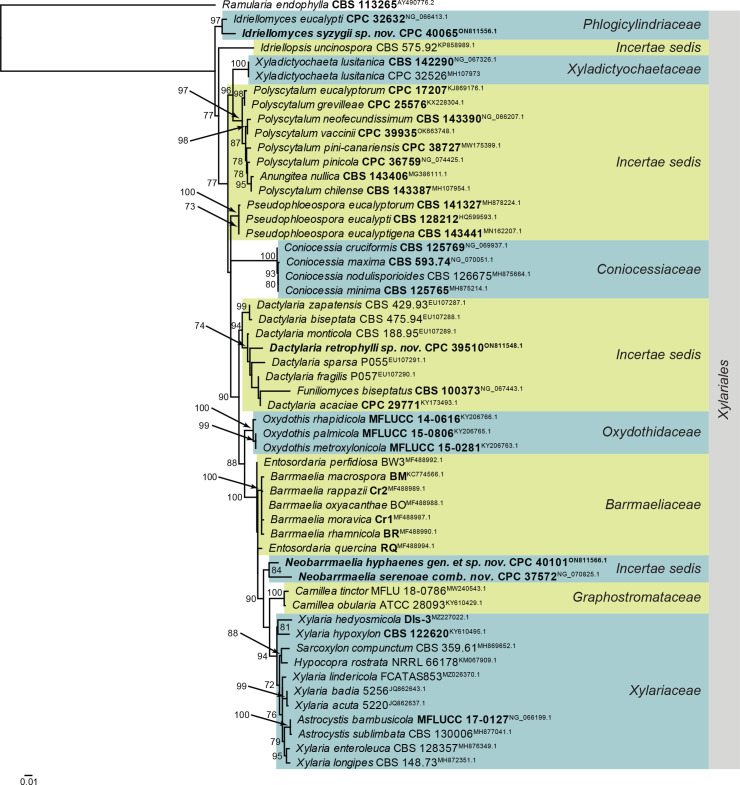 Fig. 8.