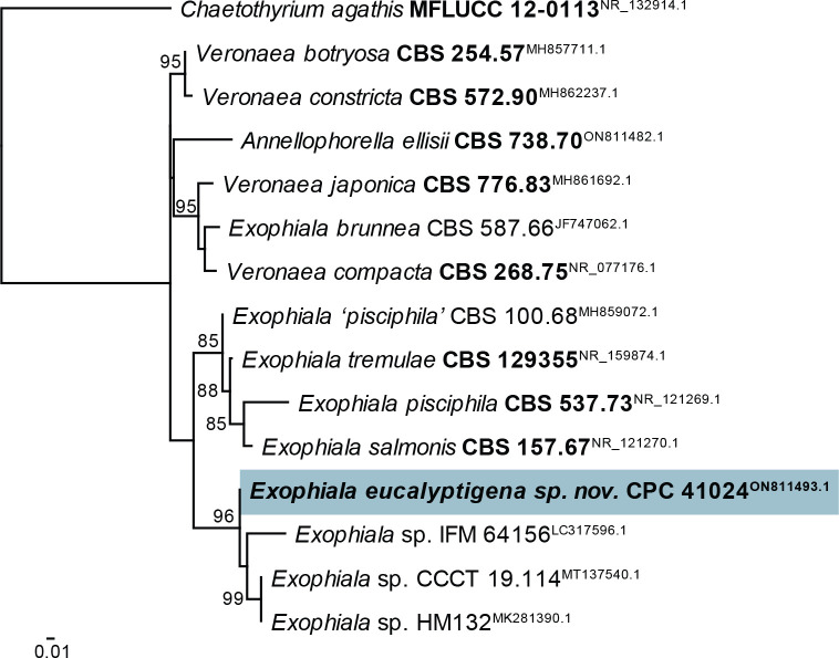 Fig. 22.