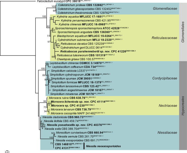 Fig. 7.