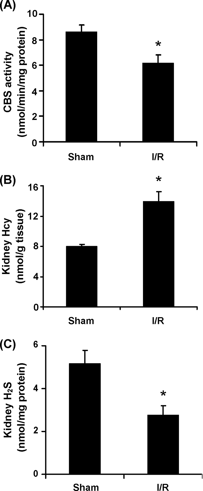 FIGURE 7.