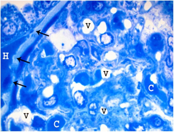 Figure 16